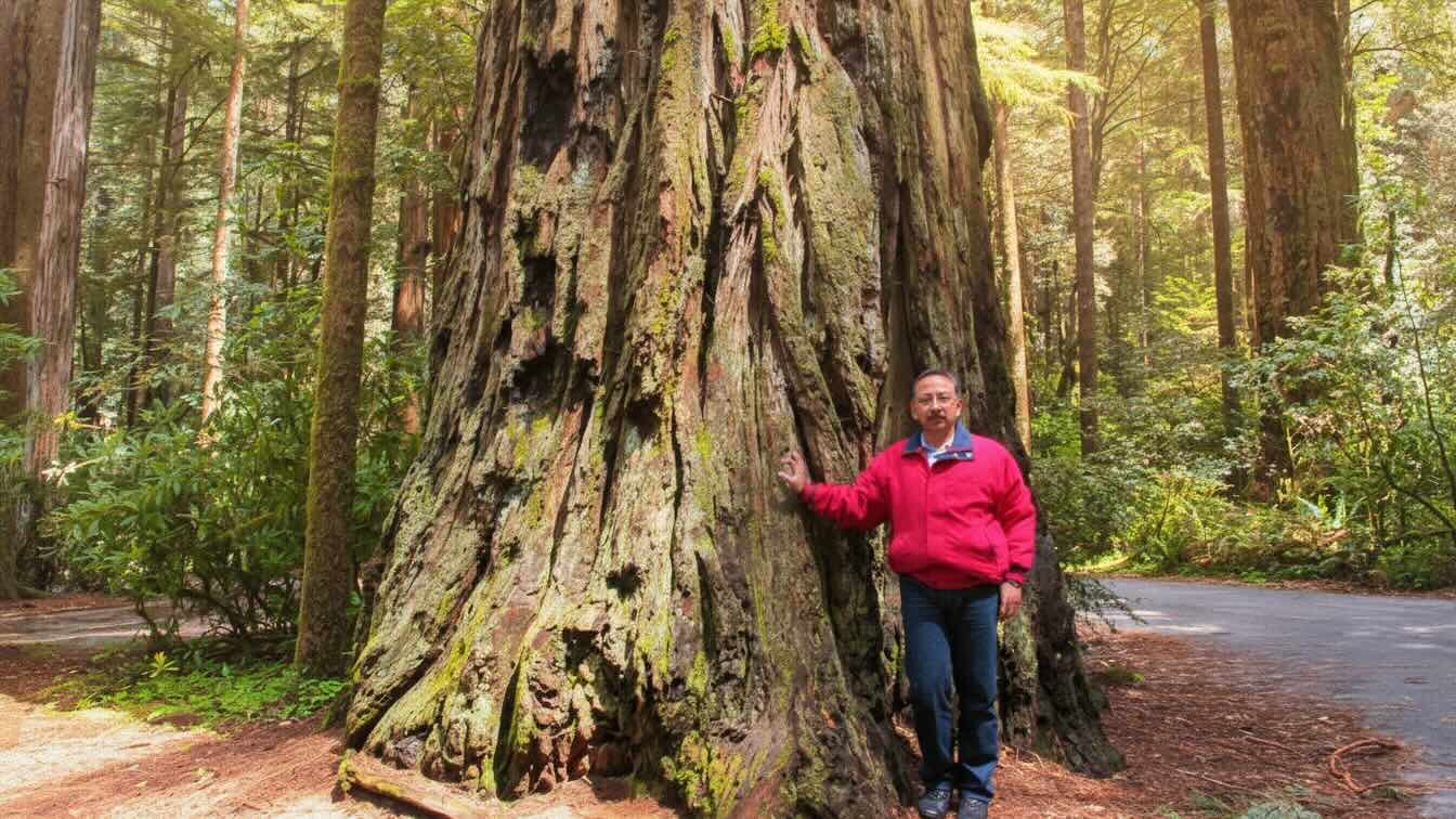 Djati Witjaksono Hadi tokoh konservasi hutan Indonesia KLHK